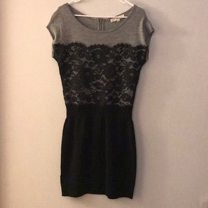 Loft Lace Sweater Dress